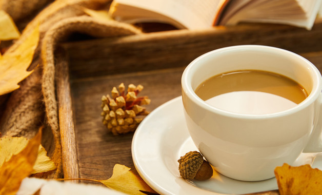 档案管理员岗位职责范本投资公司（20篇范文）